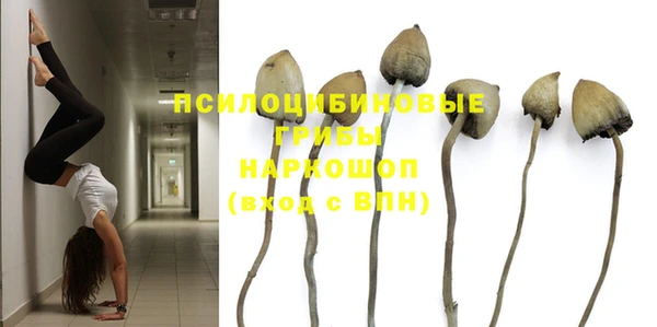 таблы Гусев