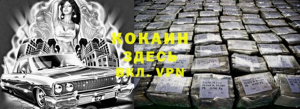 трава Богородицк