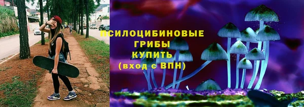 спиды Богородск