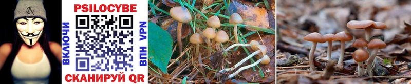 как найти   Минеральные Воды  Галлюциногенные грибы MAGIC MUSHROOMS 